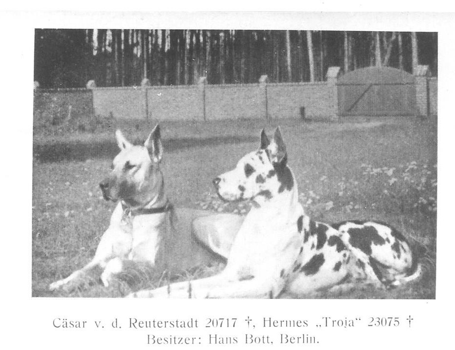 Casar vd Reuterstadt Hermes Troja